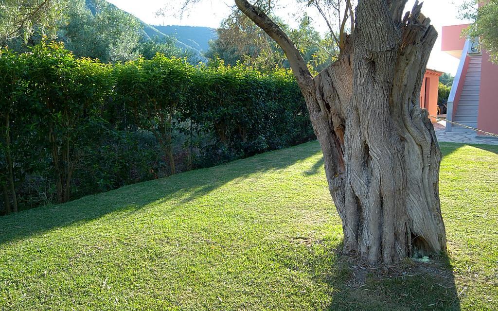 Ionian Breeze Studios Fríni Kültér fotó
